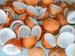 Organic Bites Split Coconut (Dried Copra) (1800) - Fast UK Delivery - Image 2