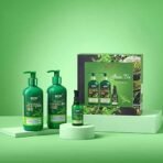 WOW Skin Science Green Tea Restoring Gift Kit for Men & Women | Premium Luxury Gift Set | Diwali Gift Kit | Skin & Hair Care | Shampoo, Conditioner, Face Serum | Combo Pack of 3 - Fast UK Delivery - Image 3