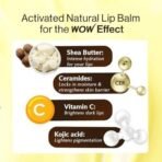 WOW Skin Science Shea Butter & Ceramides Repairing Lip Balm With Spf 50 Brightening Lip Balm For Pigmentation | With Vitamin C & Kojic Acid | 4G Brown - Fast UK Delivery - Image 3