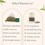 VAHDAM, Tulsi Moringa Green Tea Bags (15 Count) Low Caffeine, Non GMO & Gluten Free | Naturally High Grown Green Tea | Individually Wrapped Pyramid Tea Bags | Direct from Source - Fast UK Delivery - Image 6