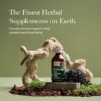 Gaia Herbs - Black Elderberry Syrup 5.4 oz [Health and Beauty] - Fast UK Delivery - Image 4