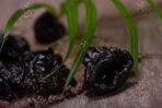 Berries And Nuts California Pitted Prunes 1kg | Antioxidant Rich Pitted Prune, Dried Plums - Fast UK Delivery - Image 4