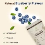 Rooted Actives Certified Organic Lions Mane Mushroom Extract Gummies | Memory, Focus, Brain Powder & Nerve Health | Usda Organic, No Sugar, Blueberry Flavor | Lions Mane Powder - Fast UK Delivery - Image 6