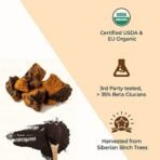 Rooted Actives Siberian Chaga Mushroom Capsules (60Gm) | Blood Sugar, Heart & Immunity | Usda Organic | 35% Beta Glucans | Certified Organic Siberian - Fast UK Delivery - Image 7