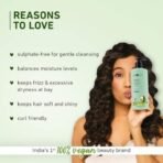Plum Avocado & Argan Frizz Control Shampoo | for Curly, Wavy & Frizzy Hair | Sulphate & Parabens Free | with Aloe Vera Extract | Reduces Frizz, Retains Moisture & Conditions Strands | 250ml - Fast UK Delivery - Image 3