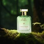 Just Herbs Energising Forest Wood Eau Da Parfum for Men and Women 50 ml | Long Lasting Body Spray Unisex Perfume - Fast UK Delivery - Image 3
