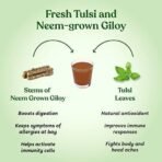 Kapiva Wild Tulsi Giloy Juice 1L + Kapiva Wild Amla Juice 1L | Boosts Immunity and Digestion | Natural Juice Pack | Immunity Boosters for Adults | No Added Sugar - Fast UK Delivery - Image 5