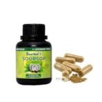 BourNeel's Soursop Capsules - 60 Capsules | Dietary Health Supplement | No Preservatives | No Additives Soursop Graviola Laxman Phal | - Image 3