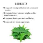 Bixa Botanical Neem Extract (Azadirchta Indica) 3% Bitters 60 Veg Capsules (450mg), Pack of 1 | Supports Blood Purification & Immunity, Helpful As Skin Tonic & Cleanser - Image 5