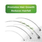 Oraah 25-in-1 Miracle Hair Oil with 25 Power Herbs Promote Hair, Fall Control & Greying - 200ml - Fast UK Delivery - Image 5