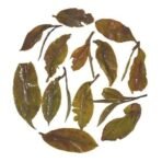 Gopaldhara Darjeeling Tea Hand Rolled Spring Beauty 25g Paper Box - First Flush Tea - (Master Series) From the Gopaldhara Tea Estate Highest Elevation 7000 Feet - Fast UK Delivery - Image 5