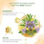 WOW Skin Science Rosemary Shampoo & Hair Oil Kit | Helps Prevent Breakage & Split Ends | Adds Shine to Dull Hair | Net Vol 450ml - Fast UK Delivery - Image 3