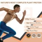 Wellbeing Nutrition Organic Vegan Plant Protein Isolate Powder | 22g Protein, 5g BCAA European Pea & Brown Rice Protein | Superfoods, Fiber for Muscle Growth | Dark Chocolate & French Vanilla Combo - Image 3