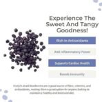Ecotyl Dried Blueberries | Whole Dried Fruit | Healthy Snack |150g - Fast UK Delivery - Image 3