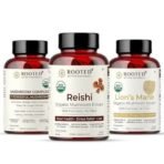 Rooted Active Naturals Organic Stress Relief Combo, Lion's Mane, Reishi, Mushroom Complex, 30 Days Supply (Combo of 3) - Fast UK Delivery - Image 2