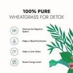 Kapiva Wheatgrass Juice, 1 L & Kapiva Karela Jamun Juice | Helps Control Blood Sugar Level and Lower Bad Cholesterol | Diabetic Care (1L) - Fast UK Delivery - Image 5