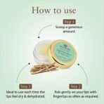 Just Herbs Liquorice Shea Lip Butter Balm, 8g Transparent - Fast UK Delivery - Image 6
