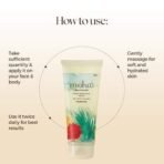 Moha Herbal Aloe Vera gel 100gm, Foot Cream 50gm and Nail Care Cream 100gm | Skincare Products | Combo Pack of 3 - Fast UK Delivery - Image 5