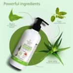 Ayouthveda Deep Clean Gentle Hand Wash | With Neem, Aloe Vera, Tulsi & Lotus | Gently Cleanses & Moiusturizes Hands |Germ Protection Formula Without Any Harsh Chemicals (Pack Of 1; 300ml) - Fast UK Delivery - Image 4