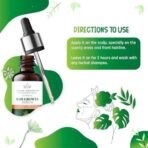 ISVARA AYURVEDA Rosemary Hair Growth Serum - Formulated with Argan Oil, Fenugreek and Tea Tree Extract Boosts Growth, Strengthens Follicles for All Hair Types -30ml - Fast UK Delivery - Image 3