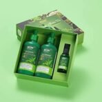 WOW Skin Science Green Tea Restoring Gift Kit for Men & Women | Premium Luxury Gift Set | Diwali Gift Kit | Skin & Hair Care | Shampoo, Conditioner, Face Serum | Combo Pack of 3 - Fast UK Delivery - Image 4
