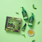 WOW Skin Science Green Tea Restoring Gift Kit for Men & Women | Premium Luxury Gift Set | Diwali Gift Kit | Skin & Hair Care | Shampoo, Conditioner, Face Serum | Combo Pack of 3 - Fast UK Delivery - Image 6