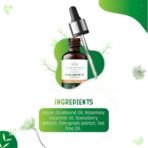 ISVARA AYURVEDA Rosemary Hair Growth Serum - Formulated with Argan Oil, Fenugreek and Tea Tree Extract Boosts Growth, Strengthens Follicles for All Hair Types -30ml - Fast UK Delivery - Image 5