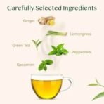VAHDAM, Ginger Mint Green Tea Bags (50 Count) Med Caffeine, Non-GMO, Gluten-Free, Naturally High Grown Green Tea | Whole Loose Leaf Tea Bags | Resealable Ziplock Pouch - Fast UK Delivery - Image 3
