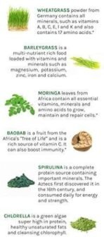 OrganoNutri Moringa Leaf Powder (200g), Moringa Oleifera, a superfood to use in Various Ways for Good Health, add in Smoothie, Flour, Sweets, etc. - Fast UK Delivery - Image 3