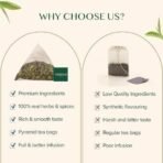 VAHDAM, Pure Mint Herbal Tea Bags - 50 Pyramid Tea Bags | Caffeine Free, Non-GMO, Gluten-Free | 100% Pure Herbal Tisane - Sweet & Minty | Whole Loose-Leaf Tea Bags | Resealable Ziplock Pouch - Fast UK Delivery - Image 7