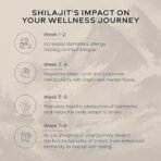 Wellbeing Nutrition Pure & Natural Himalayan Shilajit Original Resin 20g for Strength, Stamina & Performance | Shilajit Resin for Men & Women with 75% Fulvic Acid & 85 Trace Minerals | Lab Tested - Image 7