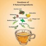 Tea Aroma - Making Tea A Healthy Habit Throat Care Tea - Mullein Leaves, Echinacea, Eucalyptus, Licorice root, Ginger root - 50 g - Fast UK Delivery - Image 3