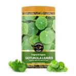 TEACURRY Organic Gotukola Leaves (50 Gram) - Helps to Boost Memory, Supports Liver Detoxifications and Promotes Skin & Body Wellness - Natural Ingredients - Fast UK Delivery - Image 2