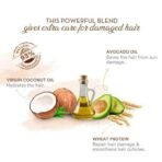 WOW Skin Science Coconut & Avocado Oil | Intensive Conditioning For Thin, Weak And Damaged Hair| No Parabens & Sulphate Hair Conditioner| Suitable For All Hair Types, 1, 300 Millilitre - Fast UK Delivery - Image 3