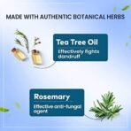 Himalaya Herbals Anti-Dandruff Hair Oil, 100ml - Fast UK Delivery - Image 6
