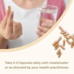 Rooted Shiitake Mushroom 60 Capsules 500 mg | Supports Healthy Cholesterol & Helps BP Levels |Immunity, Heart, Skin & Hair Health & Weight Control - Fast UK Delivery - Image 6