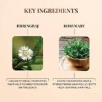 Just Herbs Nourishing Hair Cream for Men & Women with Bhringraj & Rosemary, Helps Reduce Dandruff and Hairfall 100 g - Fast UK Delivery - Image 7