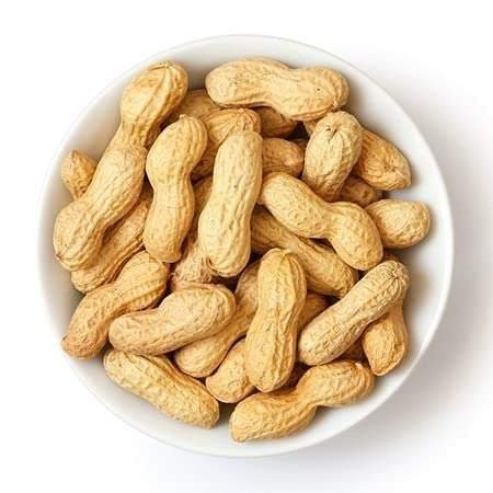 uk41RoBZdJiL-1.jpg Organic Bites Groundnut With Shell, Roasted Peanut, Sabut Mungfali (Roasted) -1800 gm - Fast UK Delivery - Image 1