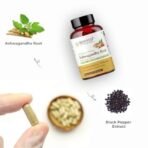 Rooted Ashwagandha Root Capsules (5% Withanolides), Pure Extract | Supports Stress, Anxiety Relief, Energy & Immunity | 60 Caps, 500 Mg Each(Pack Of 2) - Fast UK Delivery - Image 4