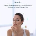 Blue Nectar Shubhr Chocolate & Vanilla Lip Balm & Gloss with Ghee for Dry Chapped Lips | 100% Ayurvedic | Paraben & Sulphate Free (10g, 12 Herbs) - Fast UK Delivery - Image 4