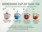 Organic India Tulsi Green Tea Lemon Ginger 25 TB + Organic India Tulsi Green Tea Classic - 25 Tea Bags - Fast UK Delivery - Image 5