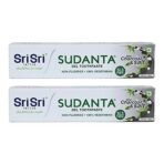 Sri Sri TATTVA shuddhta ka naam Sudanta Herbal Gel Toothpaste - All Natural, SLS Free, Fluoride Free Tooth Paste with Charcoal, Salt & More - 100g (Pack of 2), for Kids and Adults - Fast UK Delivery - Image 2