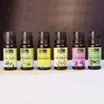 INDUS VALLEY 100% Pure Essential Oils Gift Pack - Peppermint oil,Lemongrass oil, Rosemary oil,Lavender oil,Eucalyptus oil,Tea Tree oil - 10ml * 6=60ml (Pack of 6) - Fast UK Delivery - Image 4