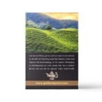 Golden Tips Summer Boost Second Flush Darjeeling Black Tea (8.81oz - 250 gm - 125 Cups) - Fast UK Delivery - Image 3