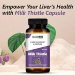 Healthally Ayurvedic Milk Thistle Liver Detox Capsule,Fatty Liver Cleanser Medicine Supplement(500 MG),Silybum Marianum Kutki Liver Care Capsule Strengthens liver Health Function - 60 Capsule - Fast UK Delivery - Image 3
