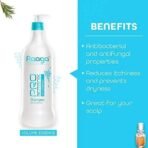 Raaga Professional Pro Botanix Anti-Dandruff Shampoo with Tea Tree Oil | Reduces Itchiness & Flaking, Prevents Dryness | Suitable For Men and Women (1000 ml) - Fast UK Delivery - Image 4