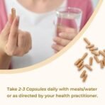 Rooted Turkey Tail mushroom Extract Capsules (60 Veg Caps, 500 mg) | Heart health, Stress Relief, Liver. USDA Organic, 30% Beta Glucans, Certified organic - Fast UK Delivery - Image 4