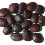 Organic Bites Roasted Tamarind Seed Dried - Roasted Imli Beej - Roasted Imli Seed -400 gm - Fast UK Delivery - Image 3