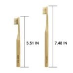 Gaia Guy Natural Bristle Bamboo Toothbrush Family Pack (NO Nylon - Boar Hair ONLY) - Totally Compostable & Biodegradable Boar Bristle and Bamboo Toothbrushes - Zero Waste - 4 Kids and 4 Adults - Fast UK Delivery - Image 5