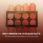 Swiss Beauty Ultra Blush Palette with highly blendable shades | Pigmented Blusher for a Natural Flush | Shade-1, 16gm| - Fast UK Delivery - Image 6